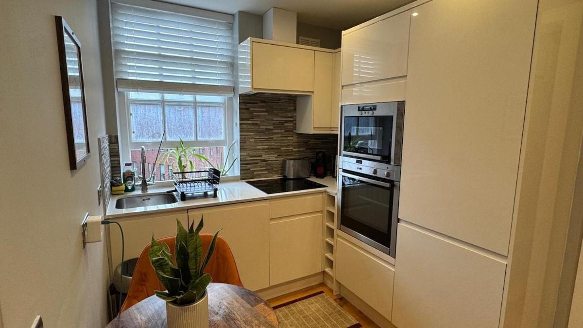 Central Apartment 런던 외부 사진